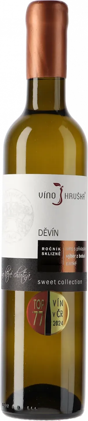 Děvín