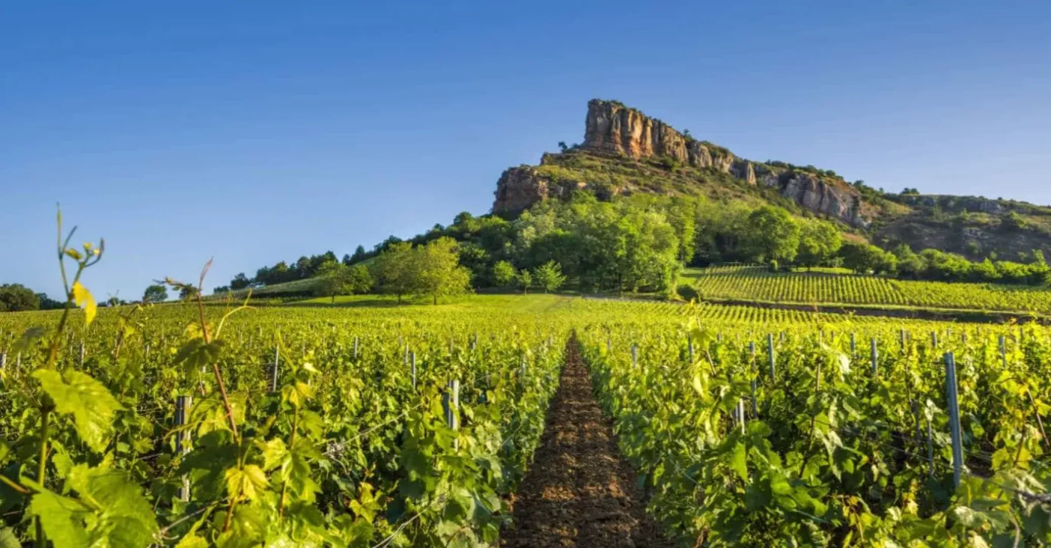 DOMAINE JEAN-PIERRE SÉVE