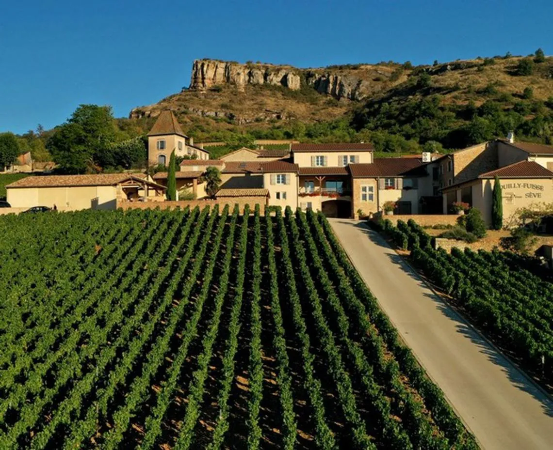 Domaine Sève pod skálou Solutré
