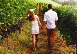 Romantický pobyt uprostřed vinohradů  photo